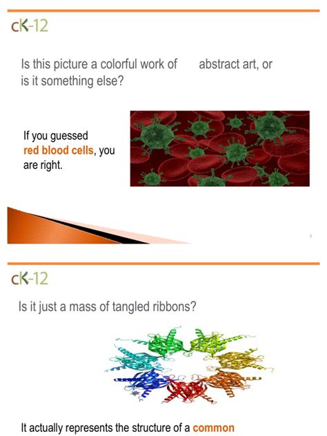 Ck 12 Biology Flexbook Biology Cell Biology