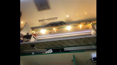 Crossed Legs Upskirt Search XVIDEOS