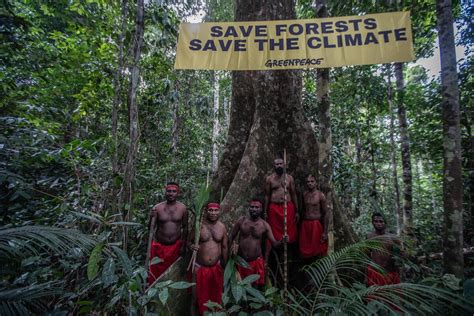 Desamodern Anak Muda Adat Dan Masa Depan Hutan Papua