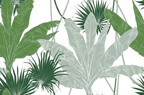 Plátanos tropicales textura de patrones sin fisuras palmeras con hojas