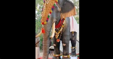 Elephant ಆನೆ ಬಳಕೆಗೆ ಬಿತ್ತು ಬ್ರೇಕ್ ಇನ್ಮುಂದೆ ದೇವಾಲಯಗಳಲ್ಲಿ ಗಜರಾಜನ ಬಳಕೆ