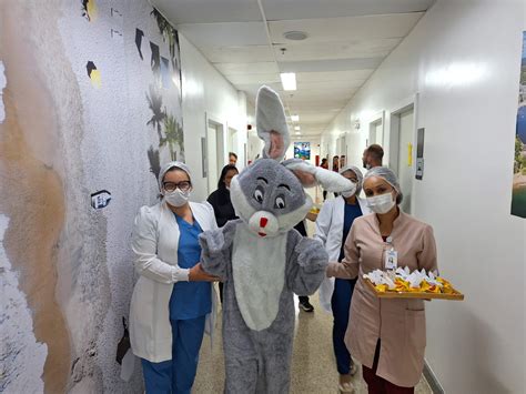 Ibdah Hospital Regional Costa Do Cacau Recebe Vista Do Coelhinho Da