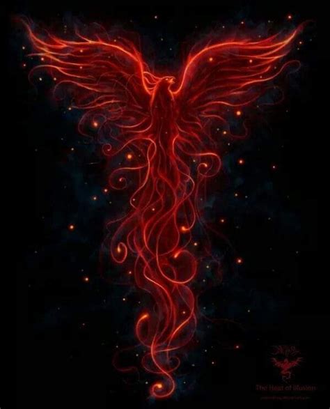 Red Phoenix Wallpapers Top Free Red Phoenix Backgrounds Wallpaperaccess