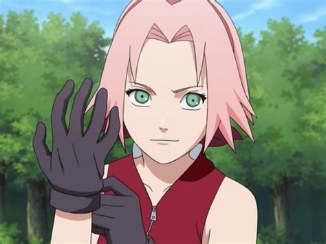 Sakura - brichka