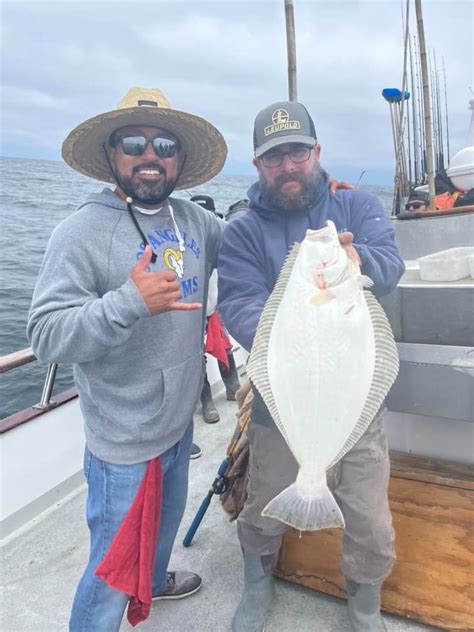 Fish Report Flat Fish And Bottom Fish