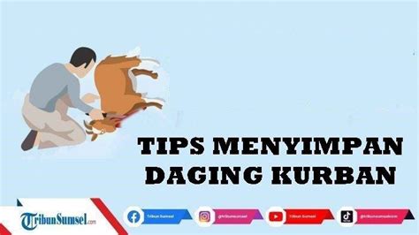 Tips Cara Menyimpan Daging Kurban Agar Awet Dan Emput Jangan Dicuci