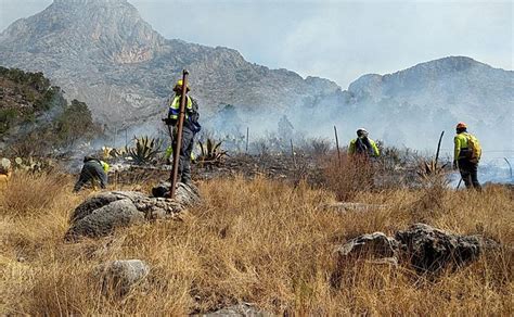 Incendios Forestales Consumen Más De 2 Mil Hectáreas De Vegetación En