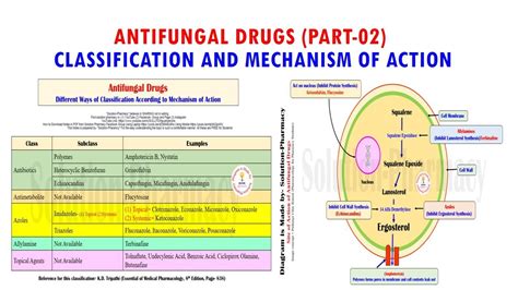 Antifungal Drug (Part 02)= Classification & Mechanism of Action of ...