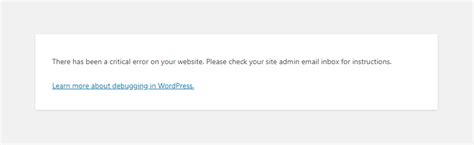 How To Fix The There Has Been A Critical Error On Your Website Error