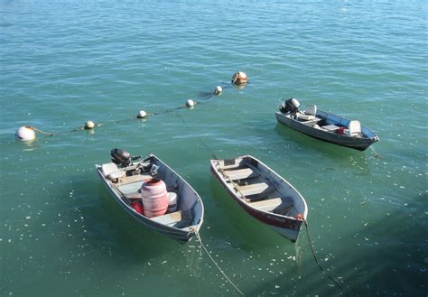 Free Images Sea Outdoor Ocean Sport Recreation Vehicle Bay