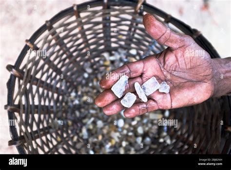 dh Sri Lankan Moonstone Mines AMBALANGODA SRI LANKA Hand with uncut raw moonstones from mining ...