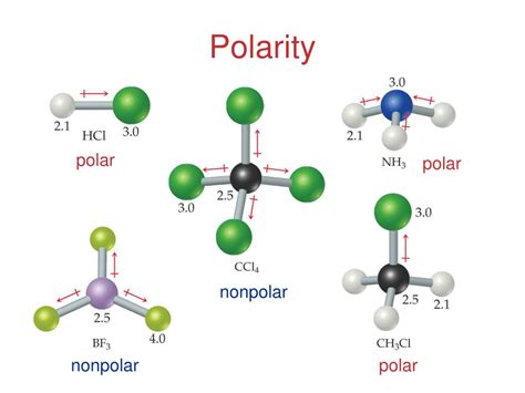 Xef2 Polar Or Nonpolar