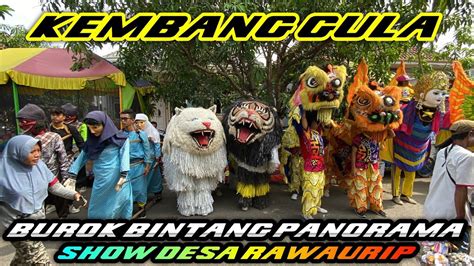 Kembang Gula Burok Bintang Panorama Show Desa Rawaurip Pangenan Youtube