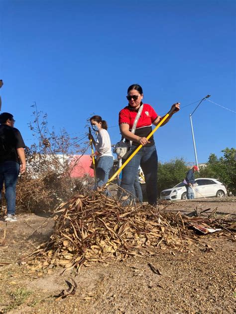 Funcionarios Y Trabajadores Del Ayuntamiento Recogen Toneladas De