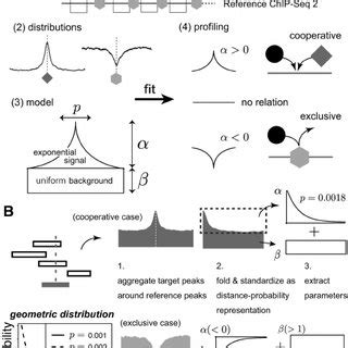 schematic drawings    localization model   concept