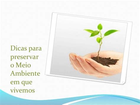 Dicas Para Preservar O Meio Ambiente