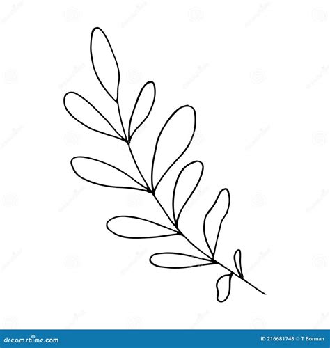 Vector Branch with Leaves Black and White. Minimalistic Botanical ...