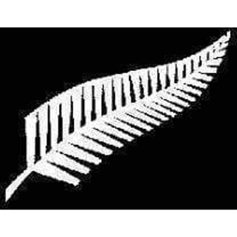 Buy Silver Fern New Zealand Flag 3 X 5 ft. for sale