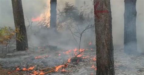 Lotta Agli Incendi La Calabria Nella Morsa Del Fuoco Secondo I Dati Ispra