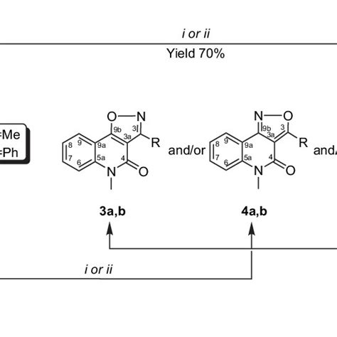 Scheme 1 Reagents And Conditions I Nh 2 Ohhcl Et 3 N Ethylene