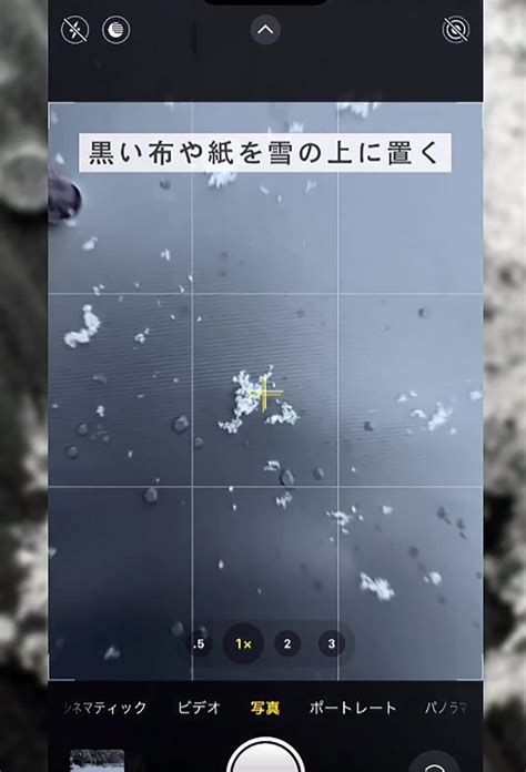 Iphoneできれいに“雪の結晶”を撮影する方法が話題 、接写可能なandroidもok 2023年1月2日 エキサイトニュース