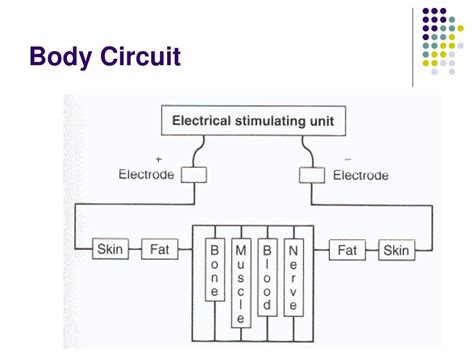 Ppt Electrical Muscle Stimulation Powerpoint Presentation Free