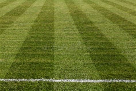 Campo Di Calcio Naturale Dell Erba Verde Fotografia Stock Immagine Di