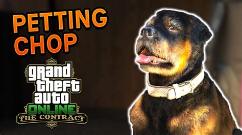 How To Pet Chop In Gta Online The Contract Dlc Youtube