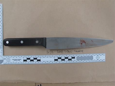 family  knife crime victim release picture  bloody murder weapon aol