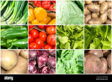 Collage Of Photos With Healthy Organic Vegetables Collection Of