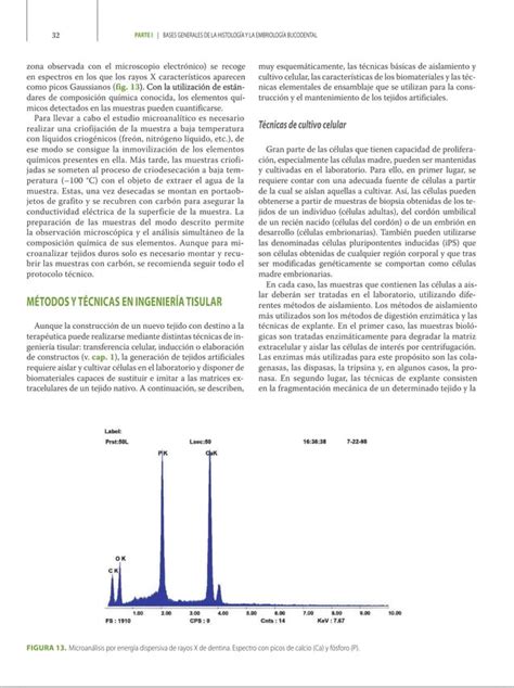 Libro De Histolog A Embriolog A E Ingenier A Tisular Bucodental Pdf