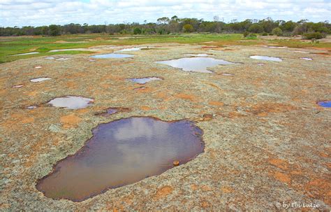 Gnamma Holes Foto And Bild Australia And Oceania Australia Western