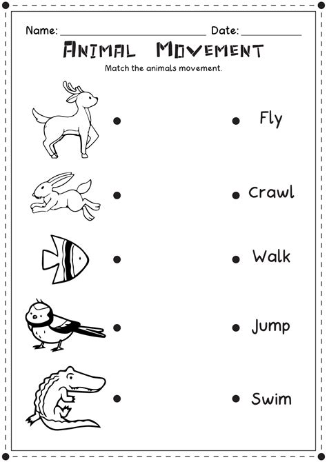 6 Best Images of Animal Coverings Worksheets For Kindergarten - Free Cut and Paste Animal ...