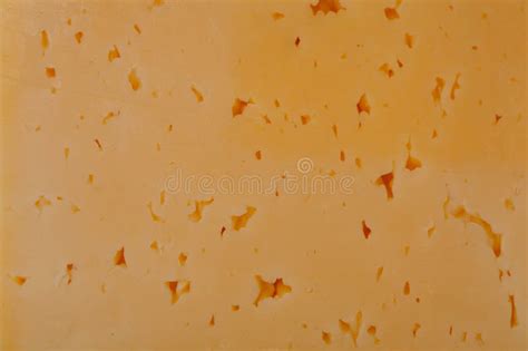 texture  cheese close  stock image image  eating parmesan