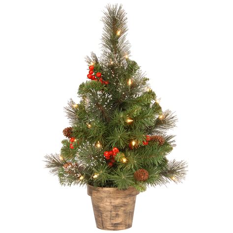 National Tree Co 2ft Pre Lit Crestwood Spruce With White Lights Pine