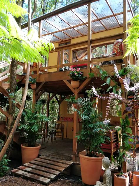 Peaceful Rainforest Treehouse Retreat Treehouses For Rent In Volcano