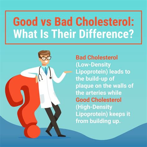 Difference Between Good And Bad Cholesterol Read Biology Riset