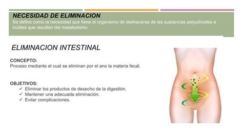 Necesidades Eliminacion Intestinal Ppt