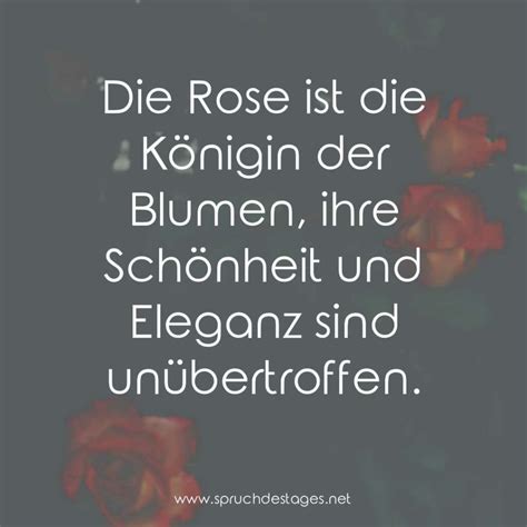 Spruch Des Tages Vom Spruch Des Tages