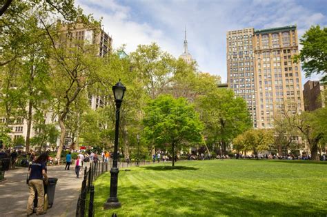 966 New York Madison Square Park Stock Photos Free Royalty Free