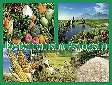 Peningkatan Produksi Pangan Inovasi Dan Teknologi Untuk Ketahanan