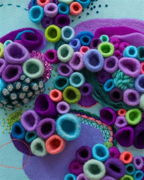 Exploring the Beauty of Tide Pools