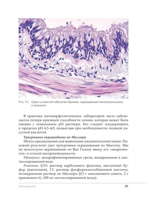 Гистологическая техника в патоморфологической лаборатории: учебно ...
