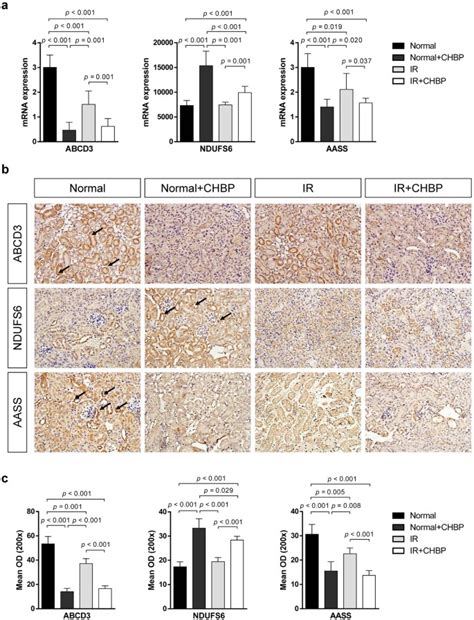 Proteome Analysis of Renoprotection Mediated by a Novel Cyclic Helix B ... 