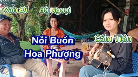 Cẩm Tiên Đàn Guitar Văn Buôn Đàn Sến Tân Cổ Nỗi Buồn Hoa Phượng