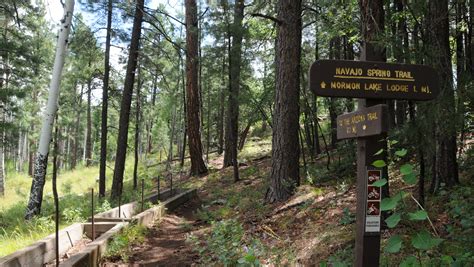 Hiking the Arizona Trail near Flagstaff: Mormon Lake Passage 29