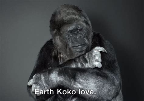 koko