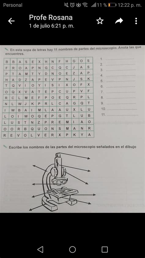 Por Favor Ayuda Las Sopas De Letras Me Marean En Esta Sopa De