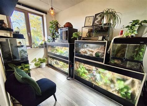 Terrarium room | Reptile room, Dream house decor, Dream rooms