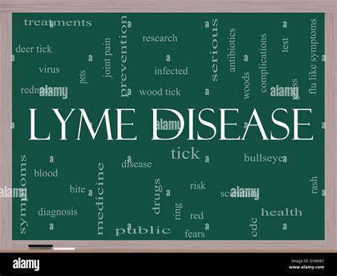 Lyme Disease Word Cloud Concept On A Blackboard With Great Terms Such